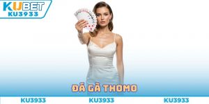 Đá Gà Thomo Ku3933 - Nơi Hội Tụ Trận Đấu Mãn Nhãn Nhất