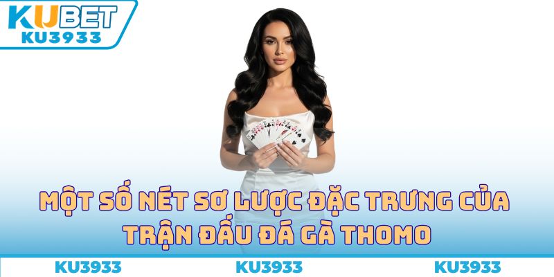 Một số nét sơ lược đặc trưng của trận đấu đá gà Thomo